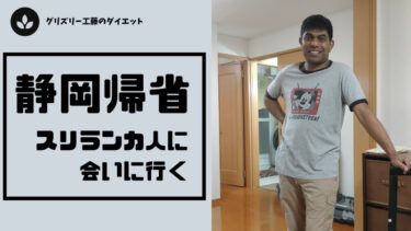 【恋人募集中】静岡帰省でスリランカ人に会いに行く【まじで】
