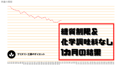 【ダイエット】デブの糖質制限と化学調味料無し生活1カ月の報告【ケトジェニック】