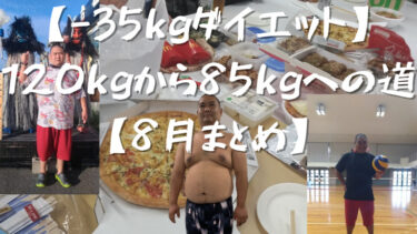 【-35kgダイエット】120kgから85kgへの道【8月まとめ】