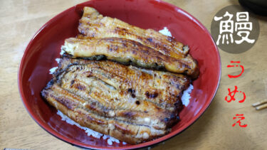 【チートデイ】炭水化物（鰻丼）たくさん食べた翌日は流石に太るって【ダイエット】