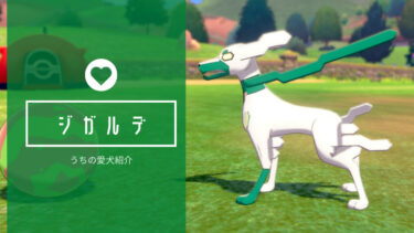 【愛犬紹介】ついに色違いジガルデ入手！大事な事はポケモンGOとポケモンHOME